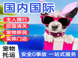南昌昌北航空物流国际宠物托运 【国